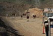 2025 1GUN World Championship
