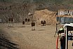 2025 1GUN World Championship