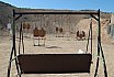 2025 1GUN World Championship