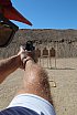 2025 1GUN World Championship